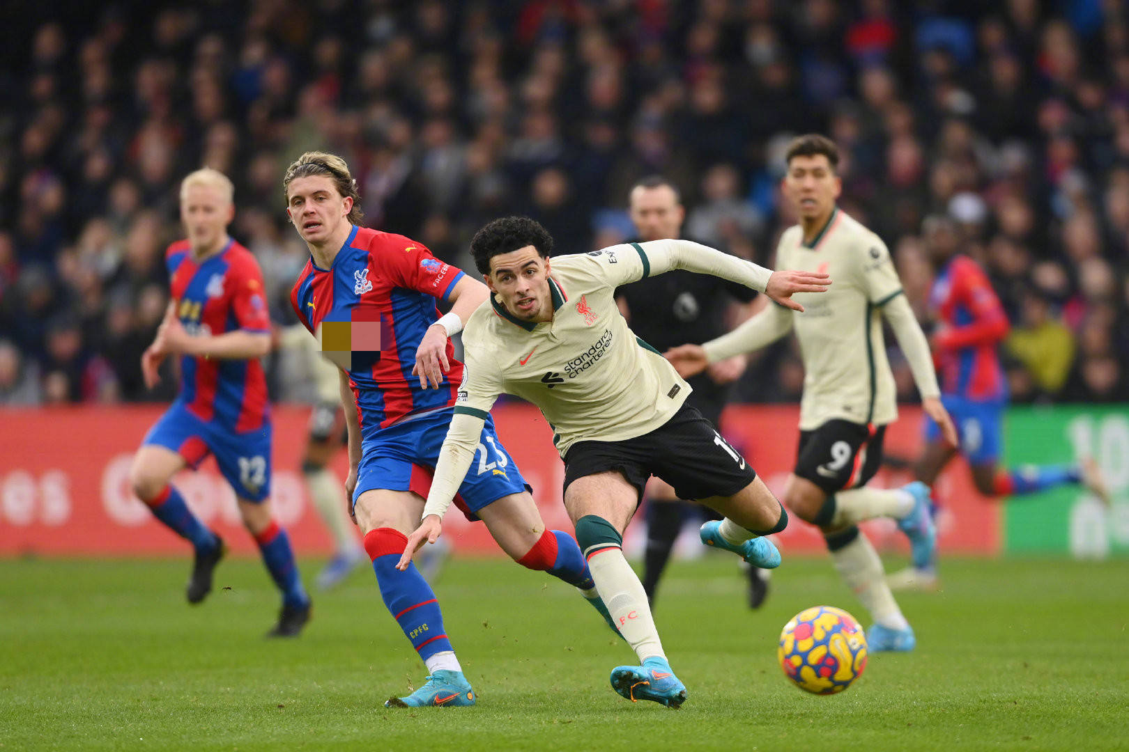 我們需要特 我們需要特